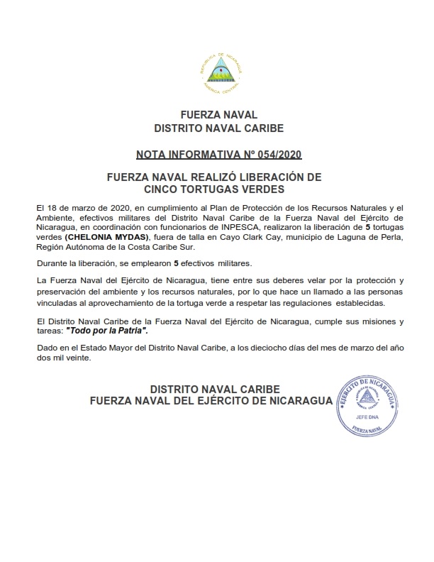 tortuga2